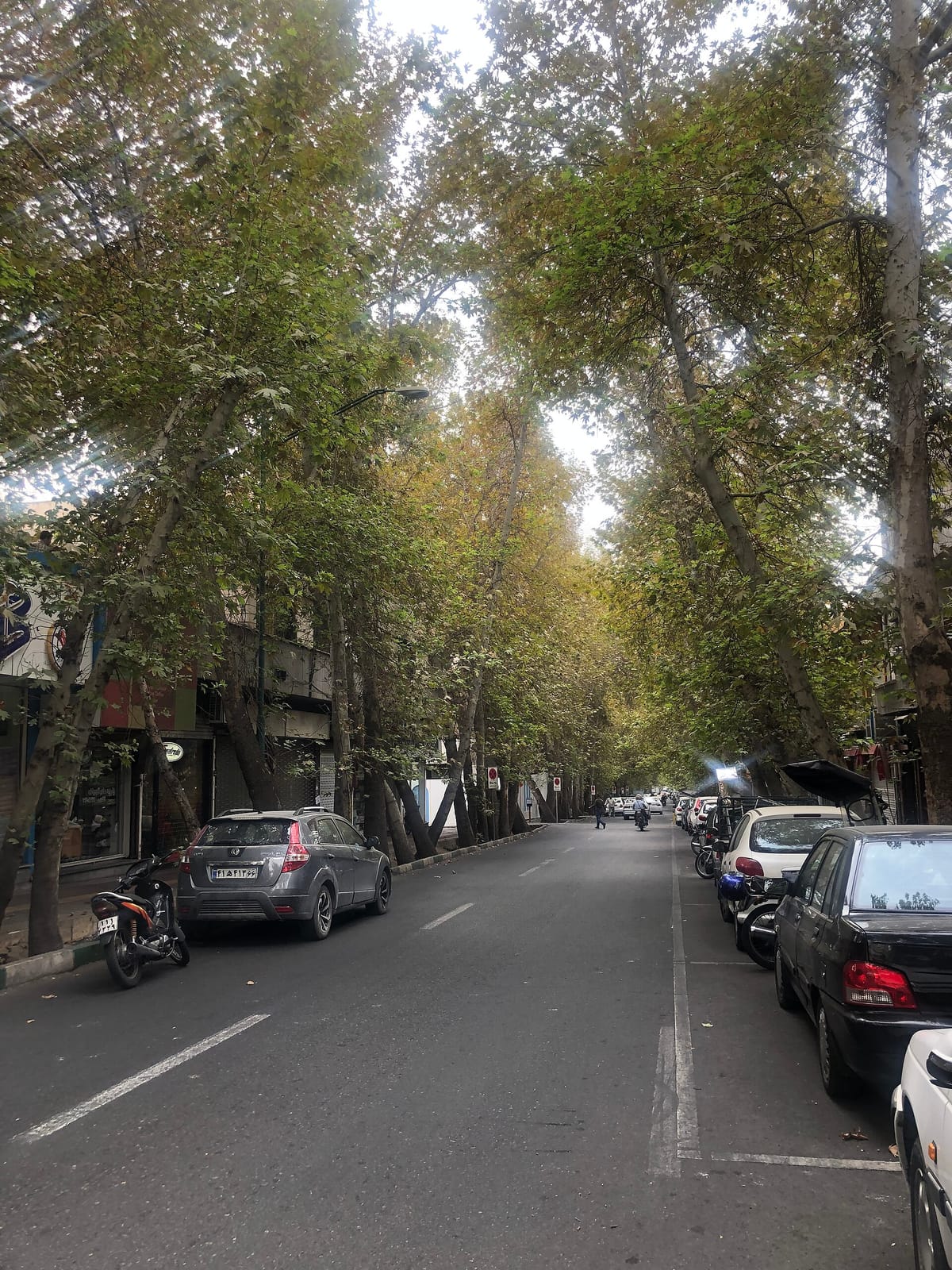 کافه عربی A&M photo 2