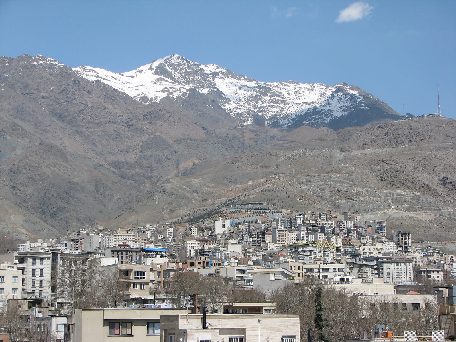 cafe jibaji کافه جیباجی photo 4