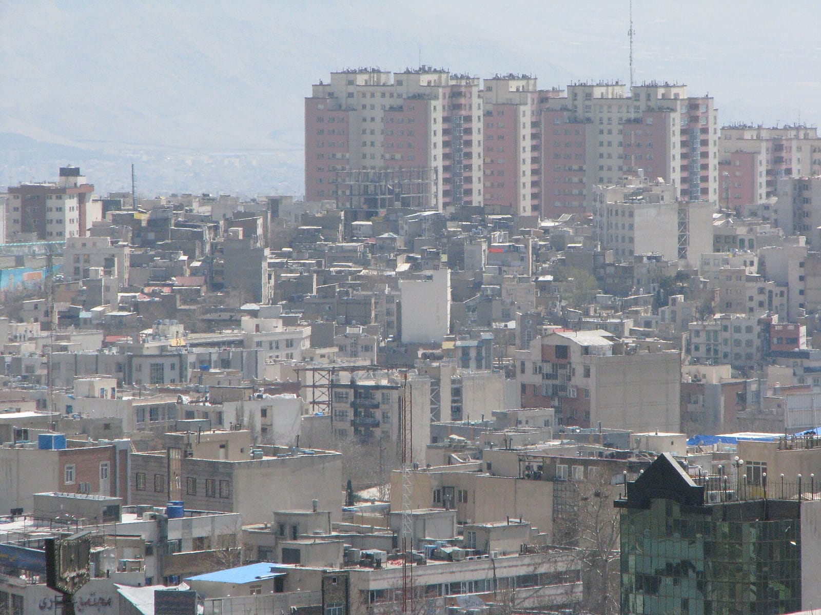 cafe jibaji کافه جیباجی photo 3
