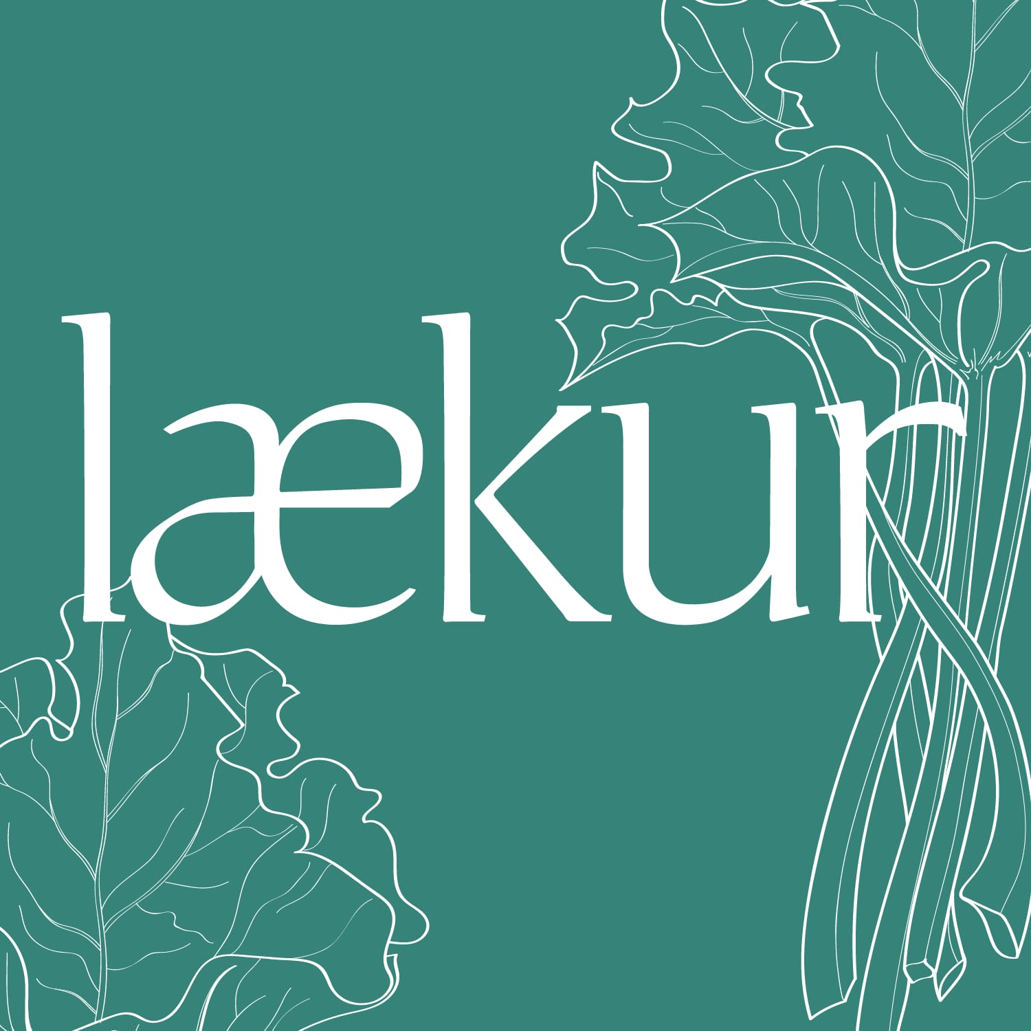 Kaffi laugalækur