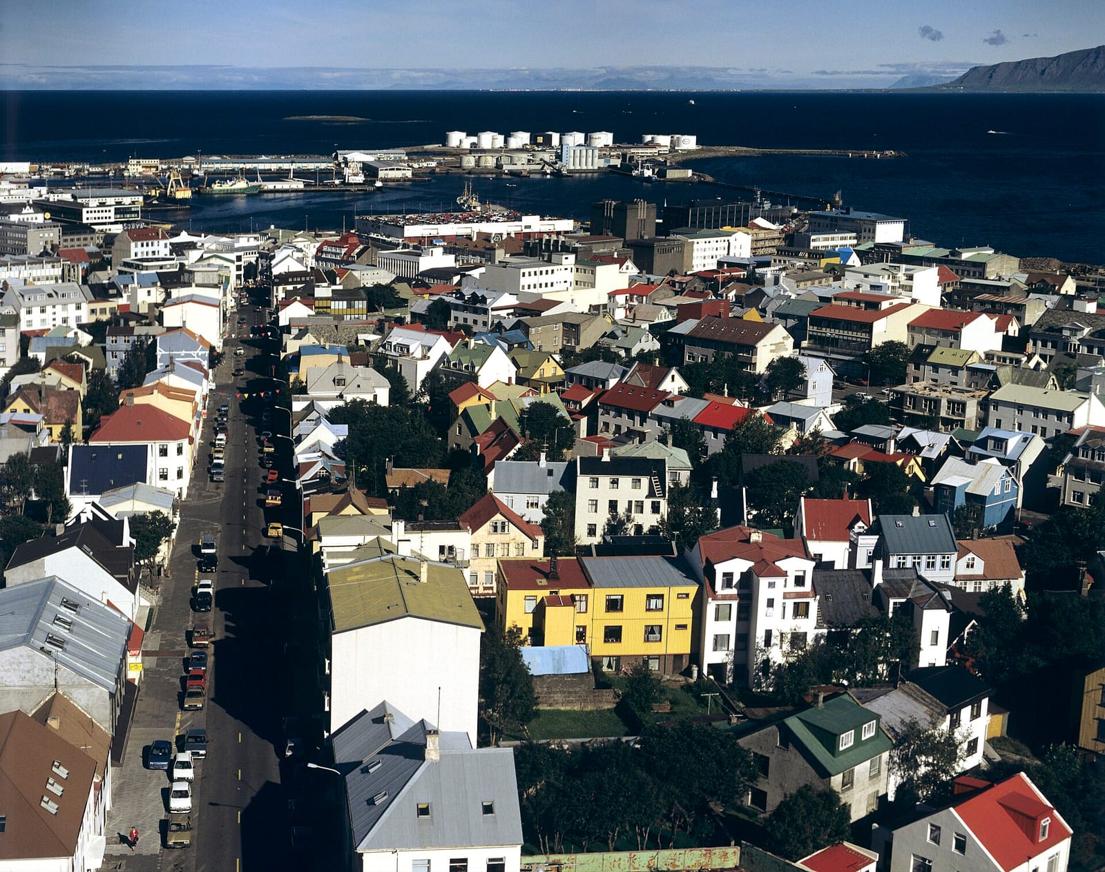 Kaktus Esperssobar photo 2