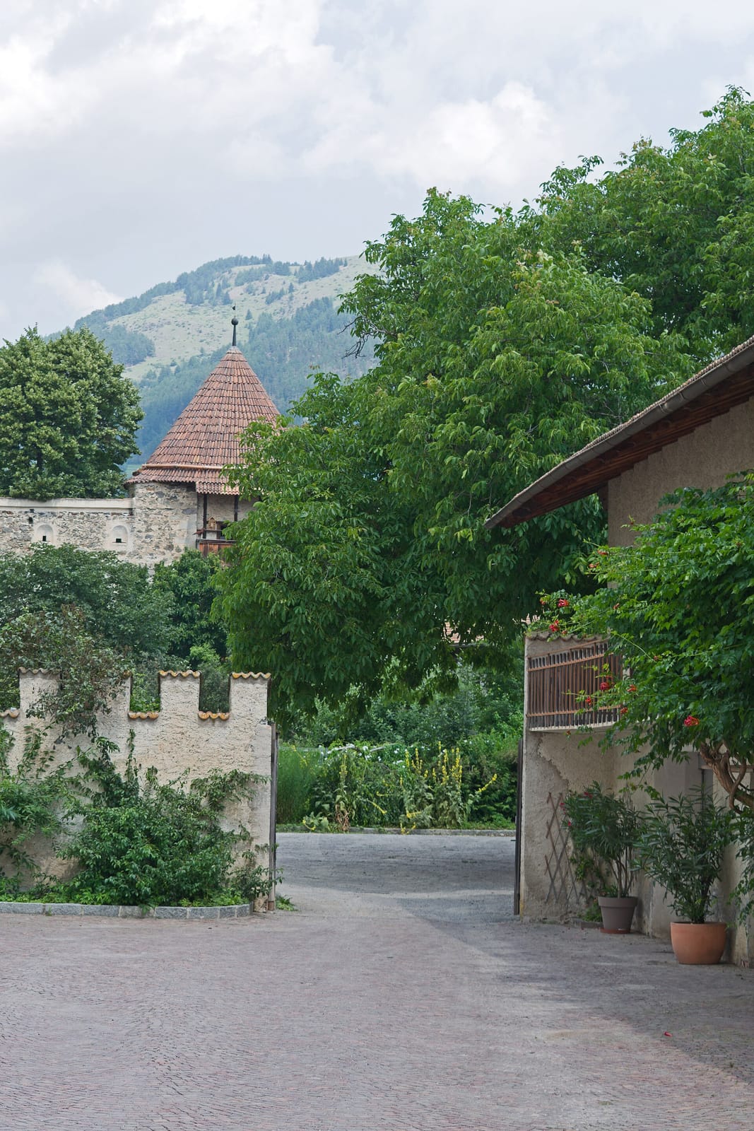 Café Salina