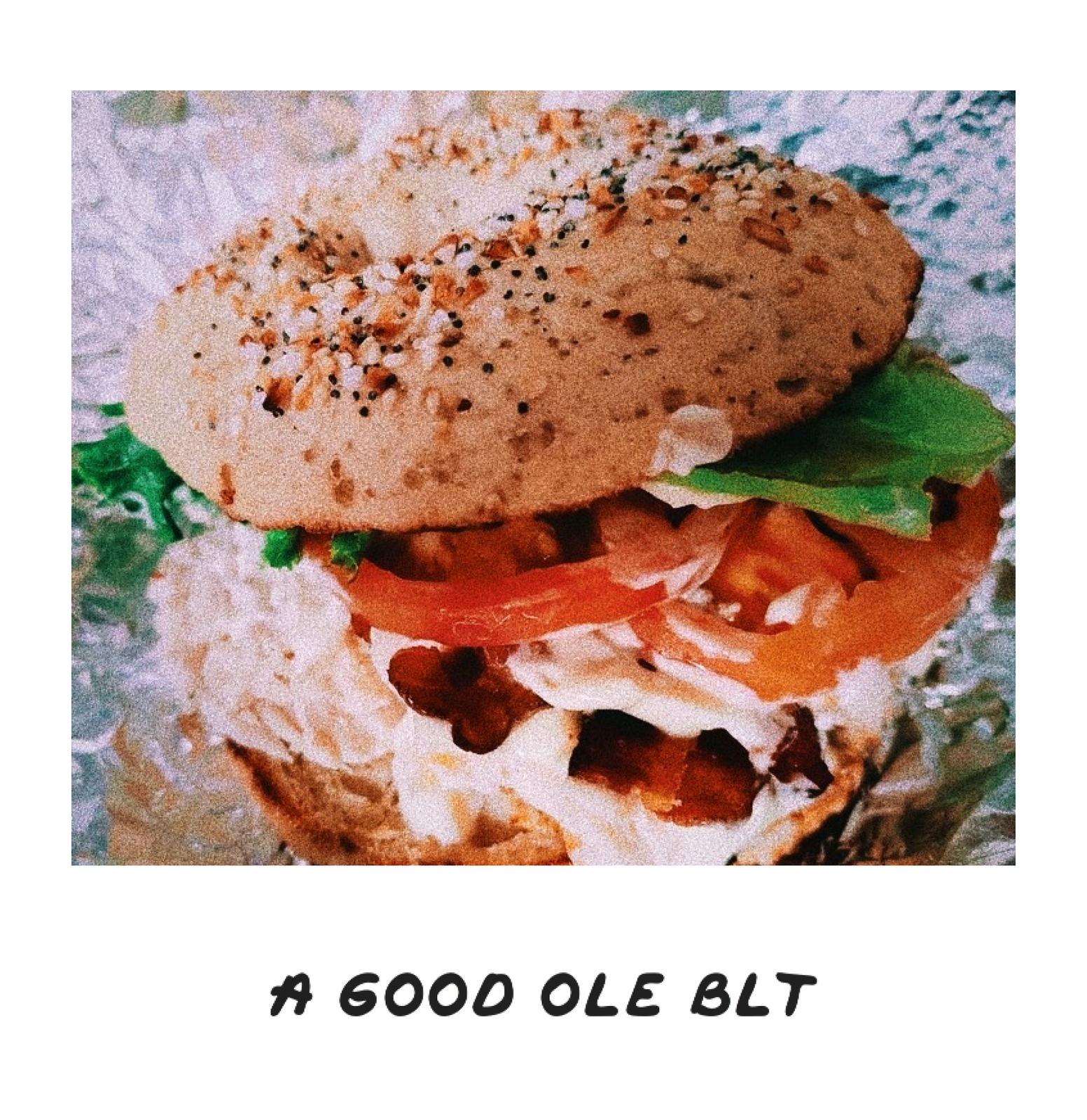 Bagels Plus photo 6