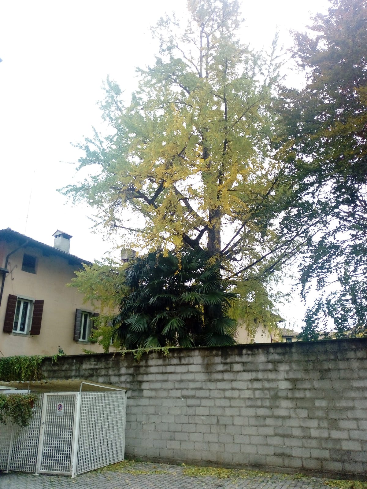 Panificio del Foro photo 2
