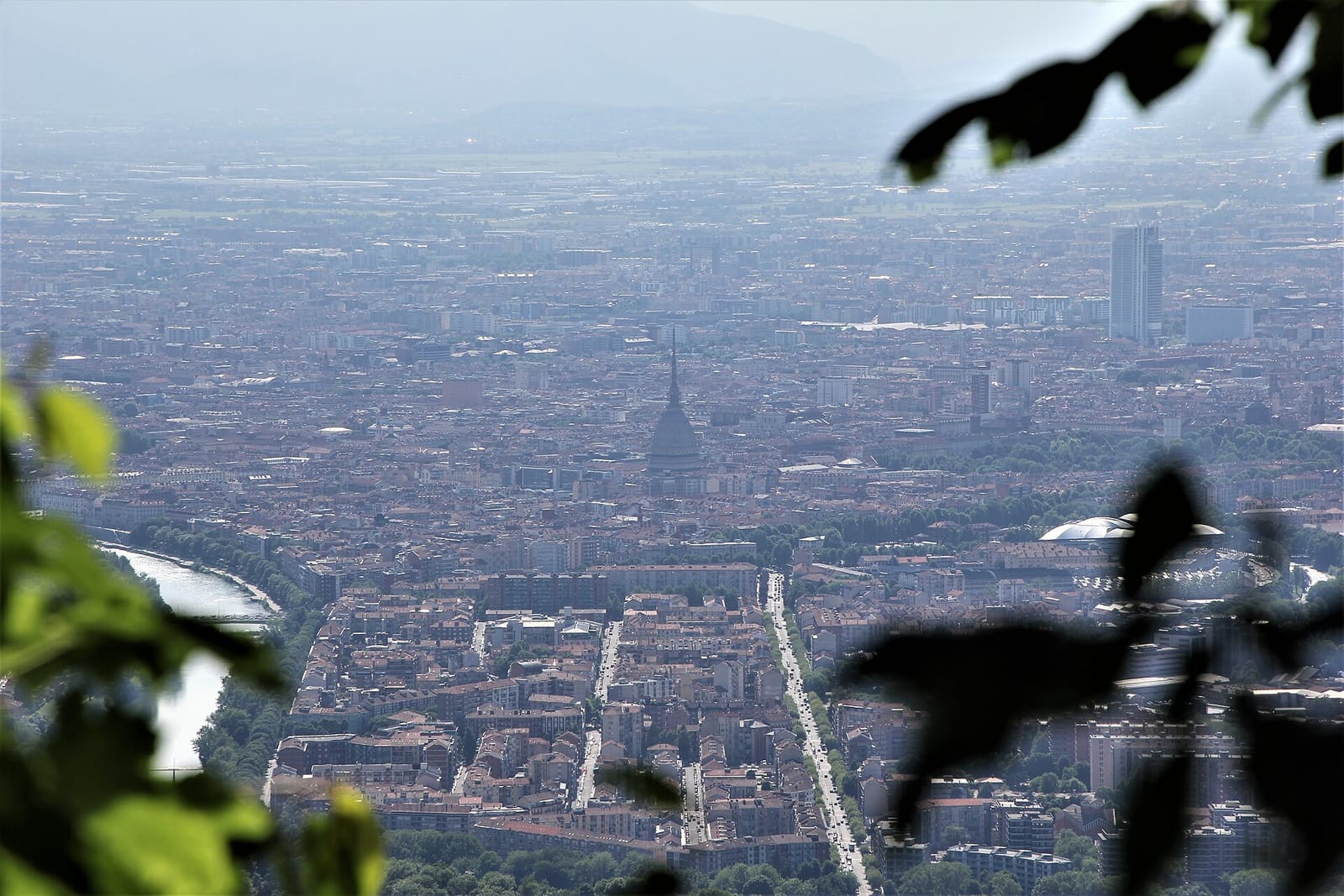 Trivè Time photo 3