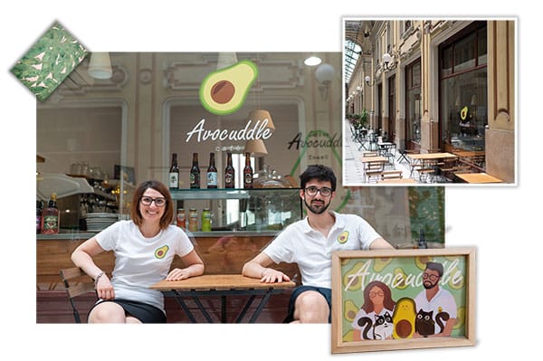 Avocuddle café photo 6