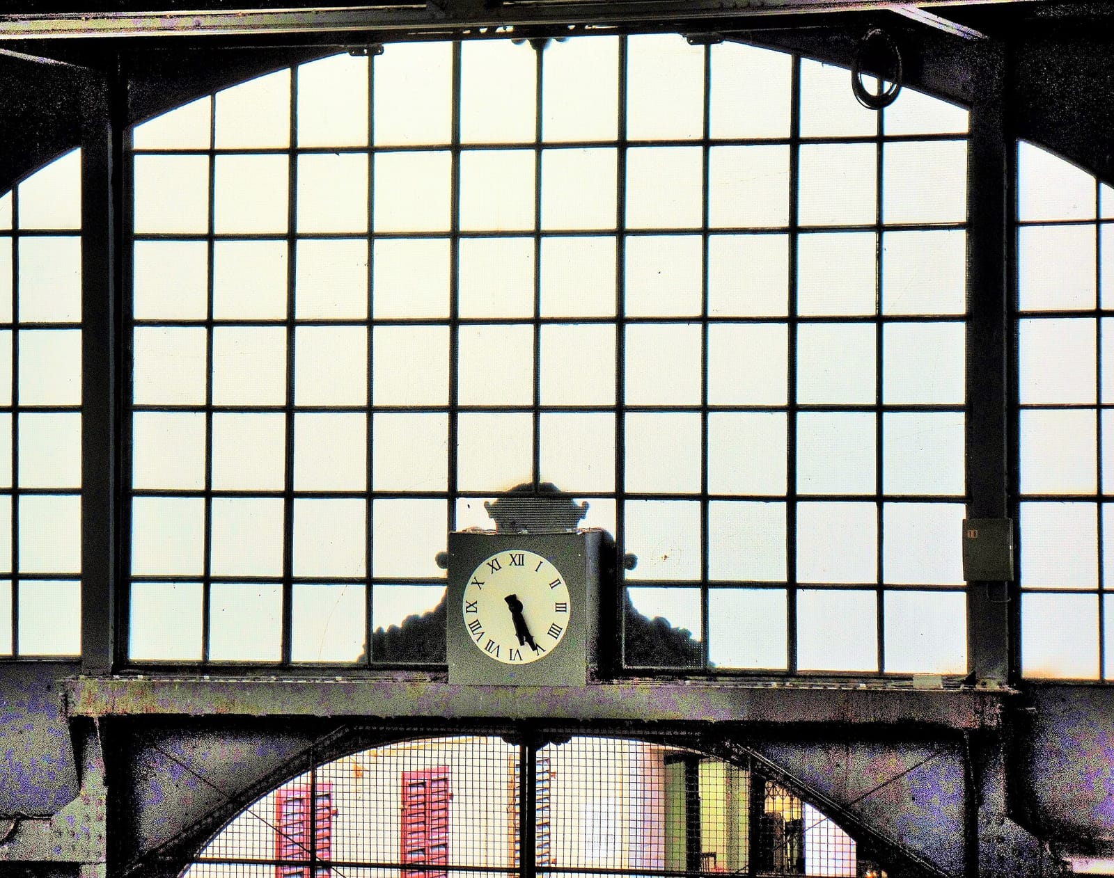 Alla Tazza d'Oro photo 4