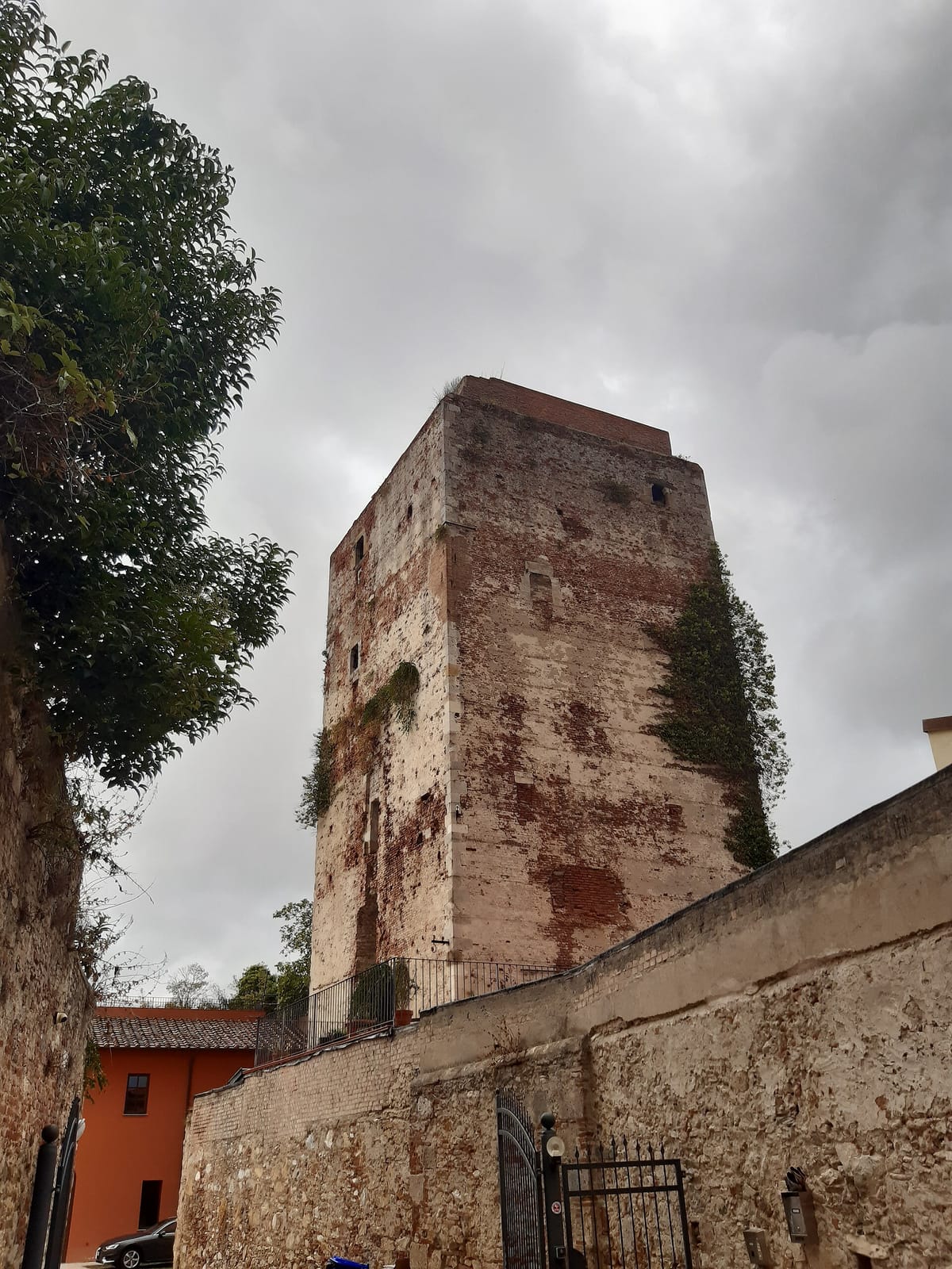 Il Ciliegio