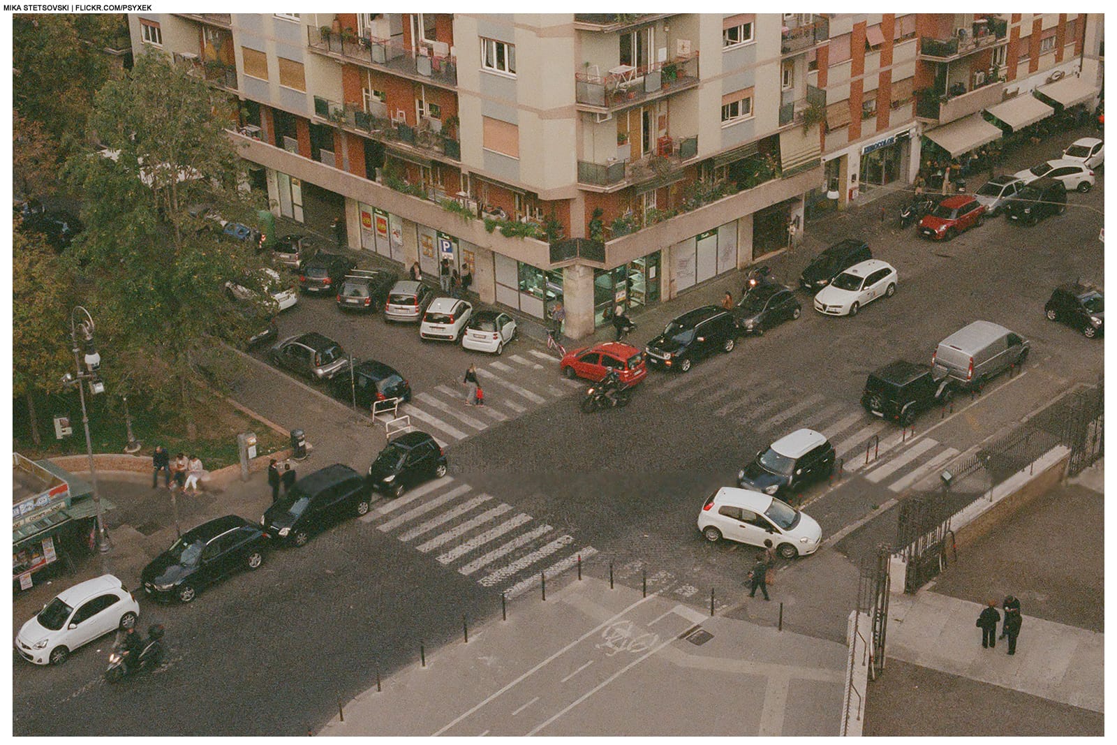 Il Seme e la Foglia photo 3