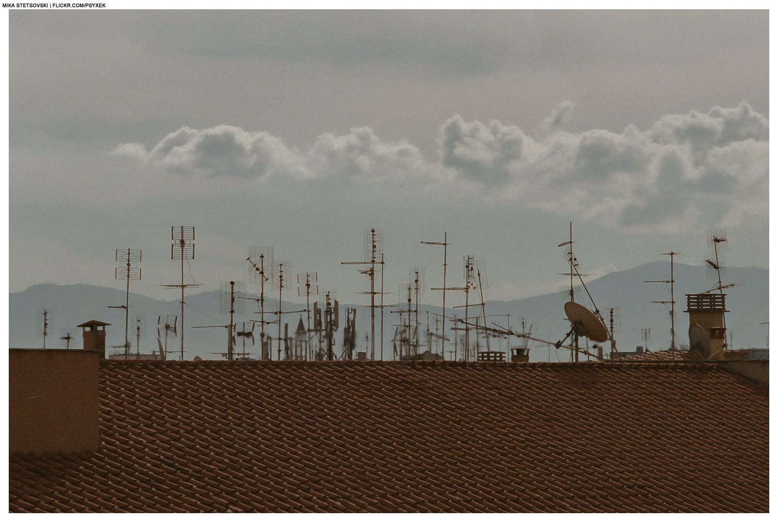 Il Seme e la Foglia photo 2