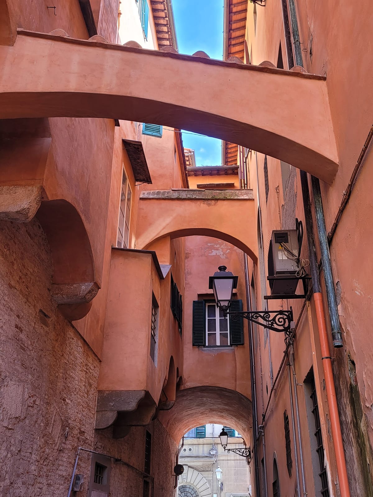 La Tazza d'Oro photo 2