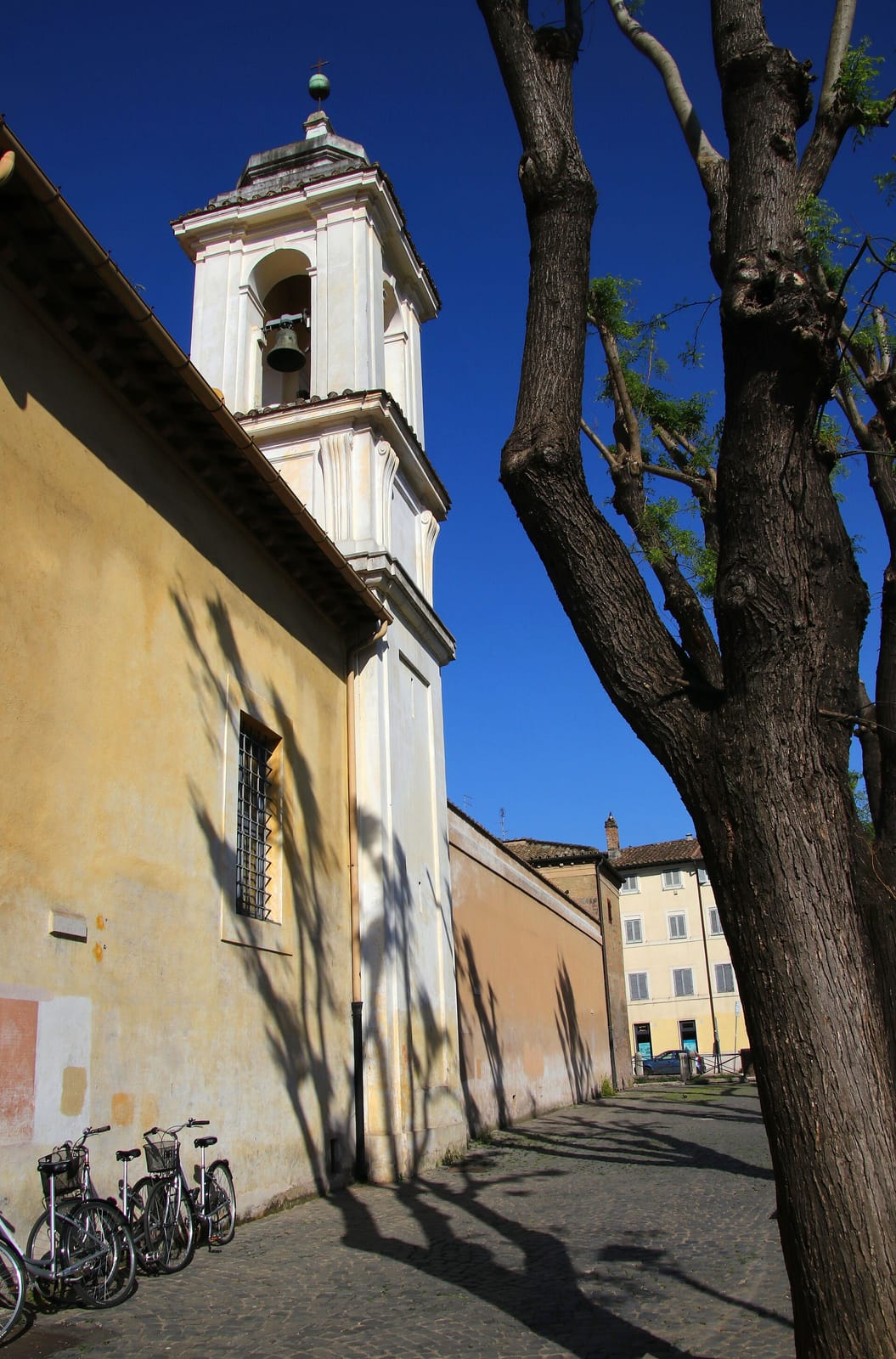 Gavi photo 4