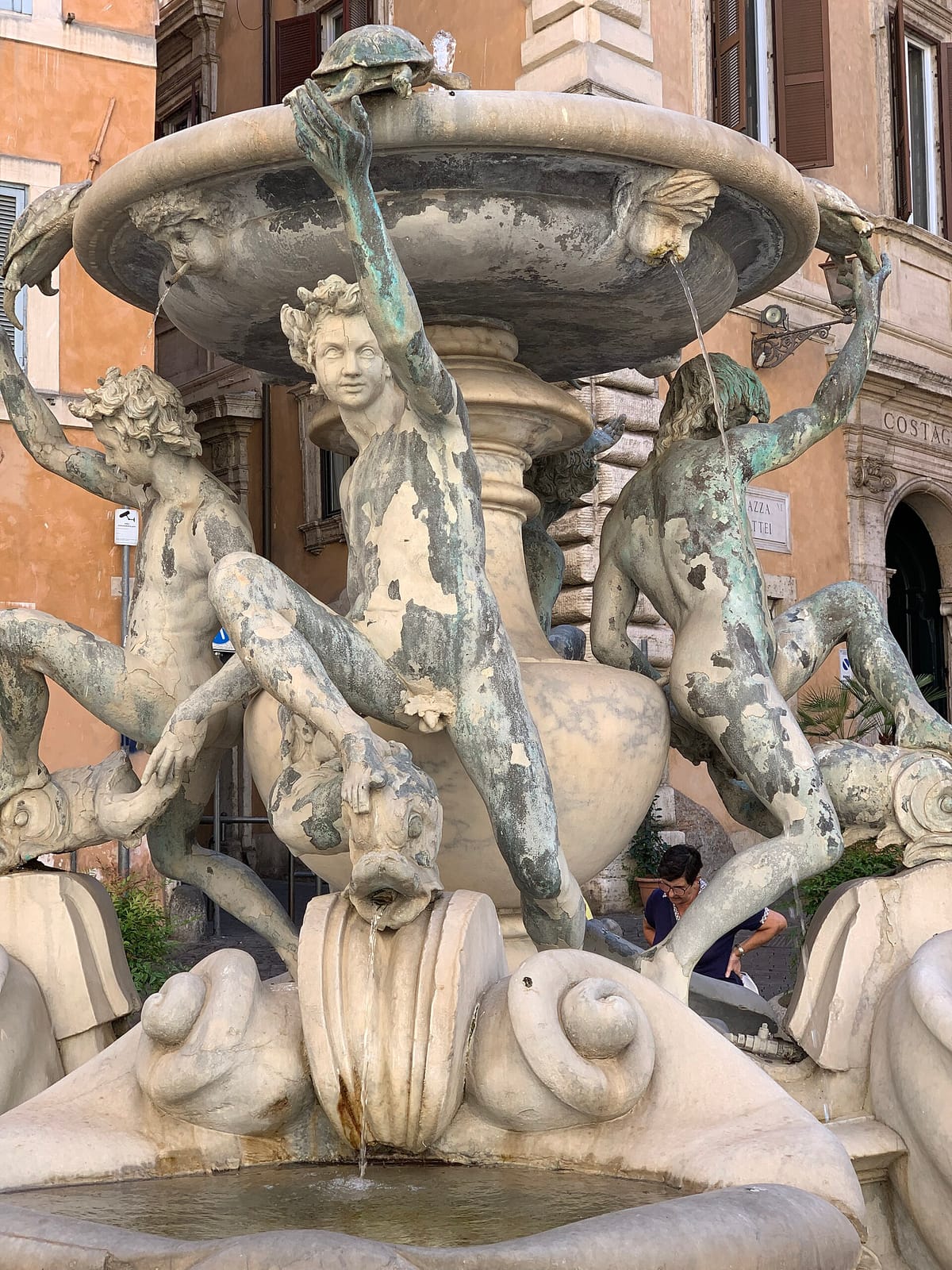 Le Tartarughe photo 2