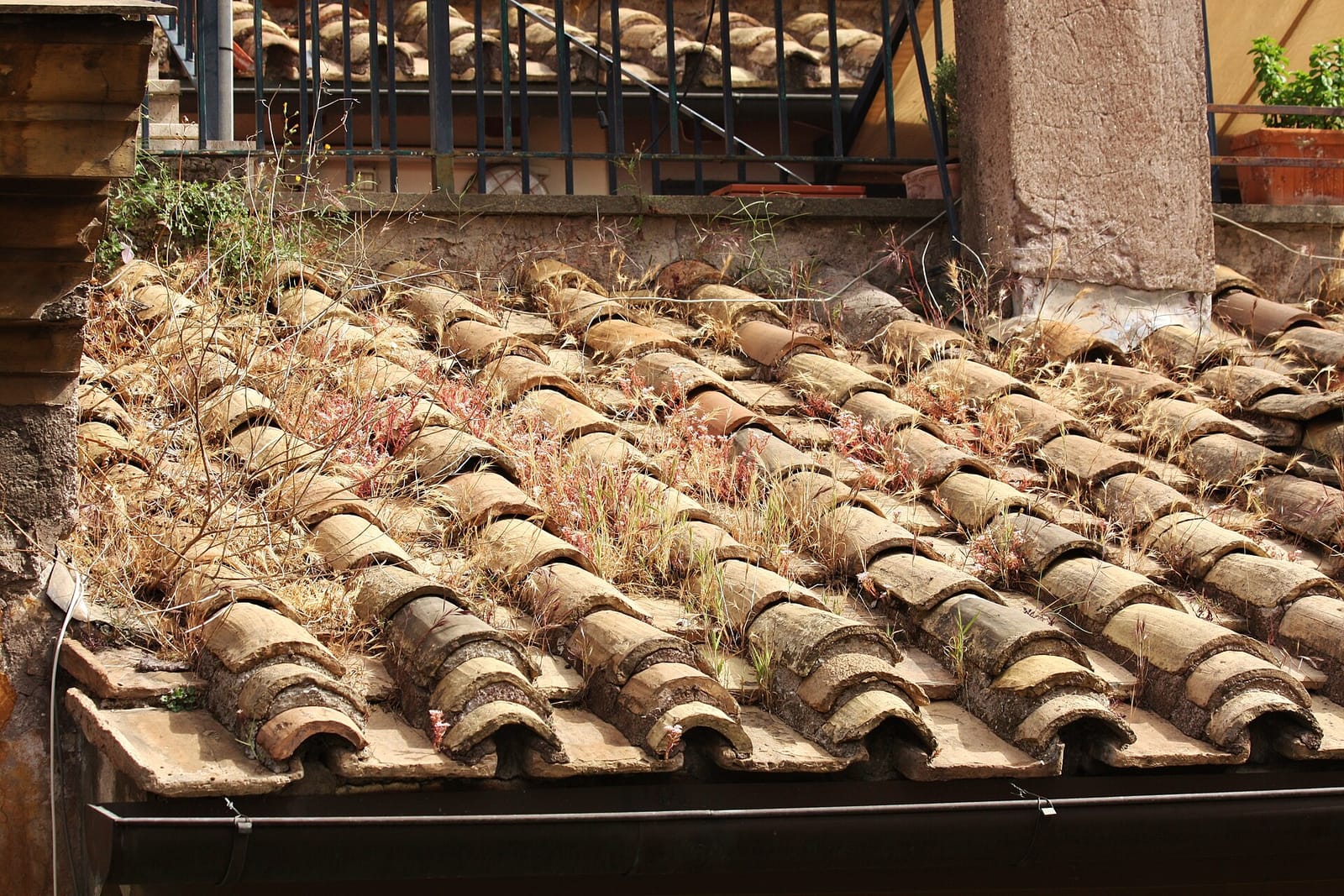 Roscioli Caffe Pasticceria photo 4