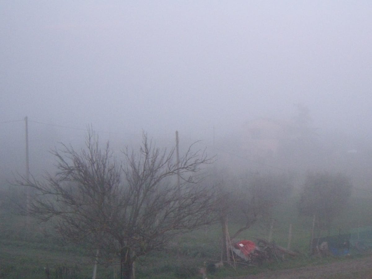Circolo Arci Pozzale photo 2