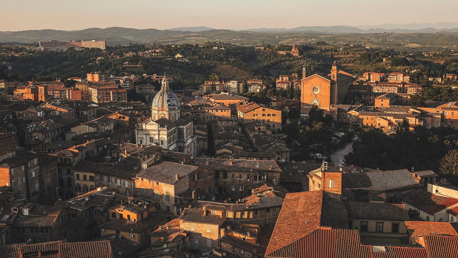 Caffetteria Torrefazione Fiorella photo 5