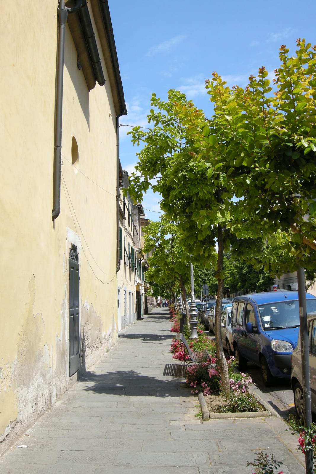 Caffè del teatro photo 5