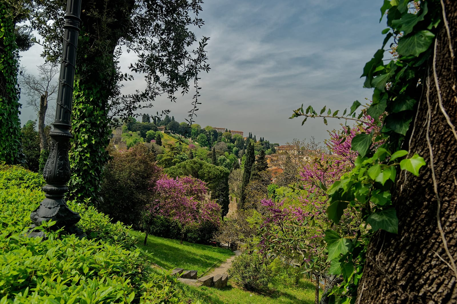 Le Bonta' di Michele