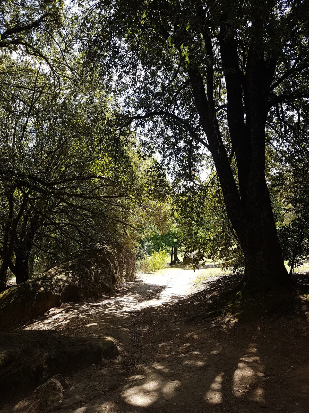 Giardino Bomarzo photo 3
