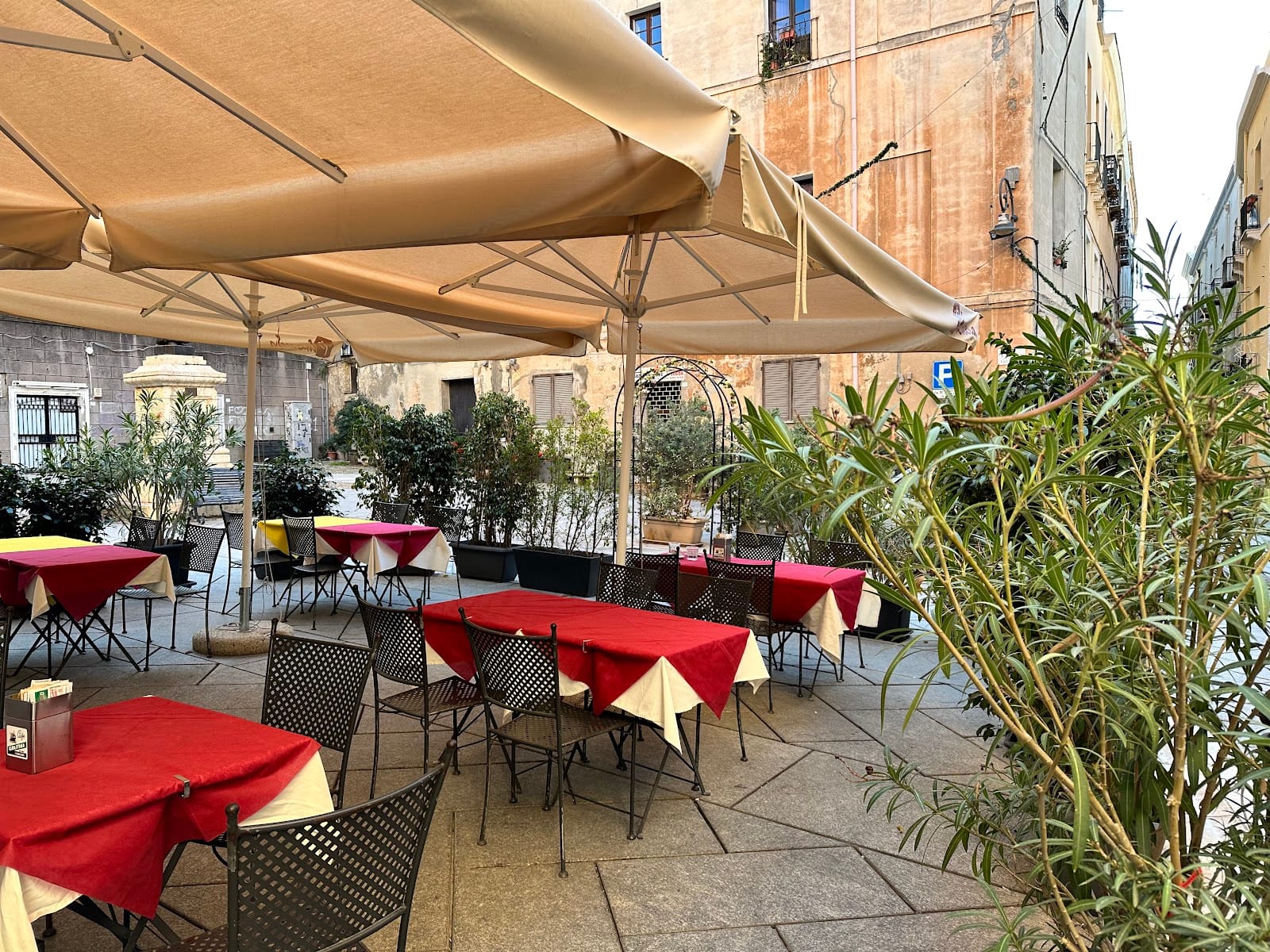 Café Plazuela