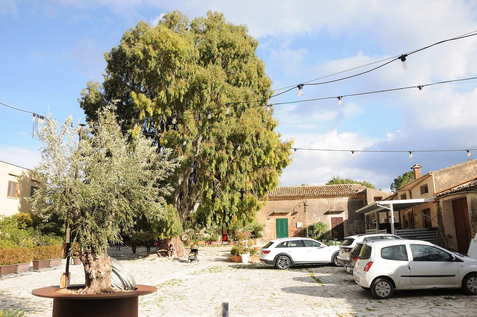 Bar Nettuno photo 2