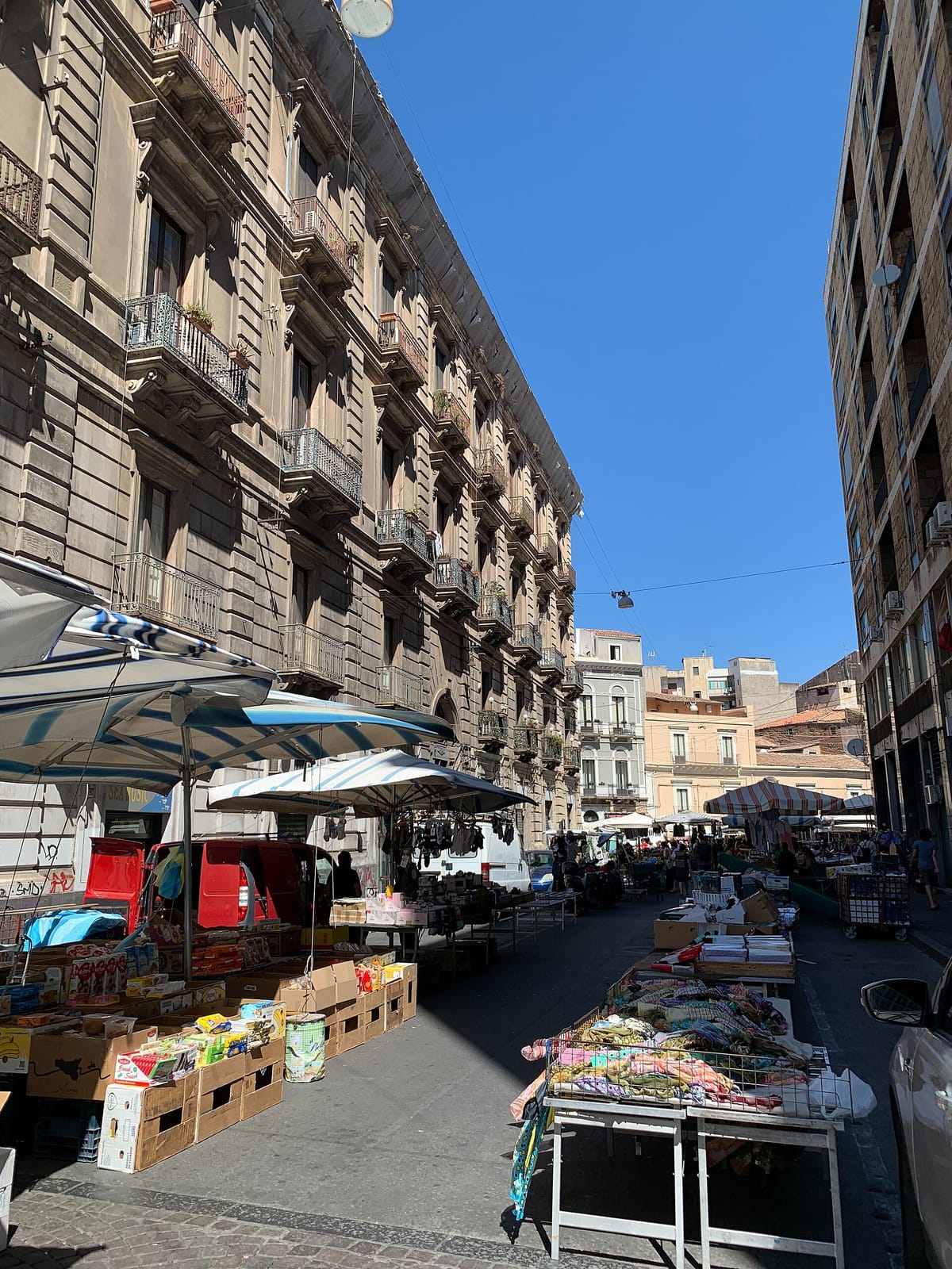 Caffè Bellini photo 5