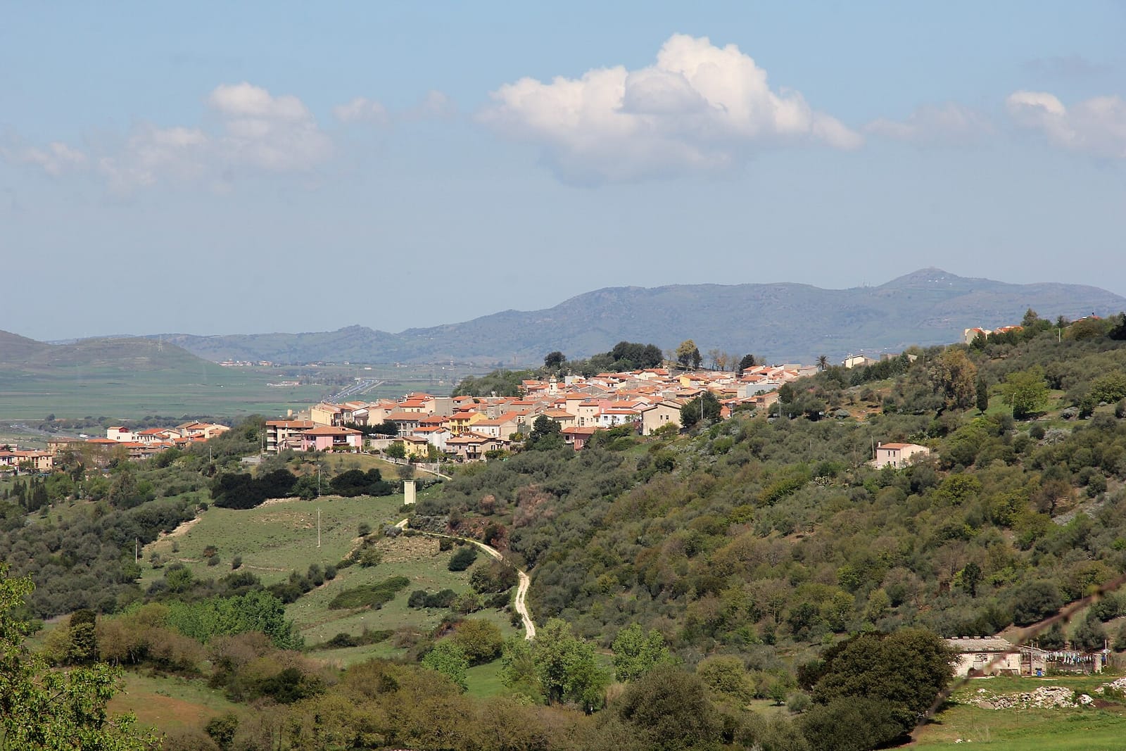 Pigalle di Domenico Marceddu photo 3