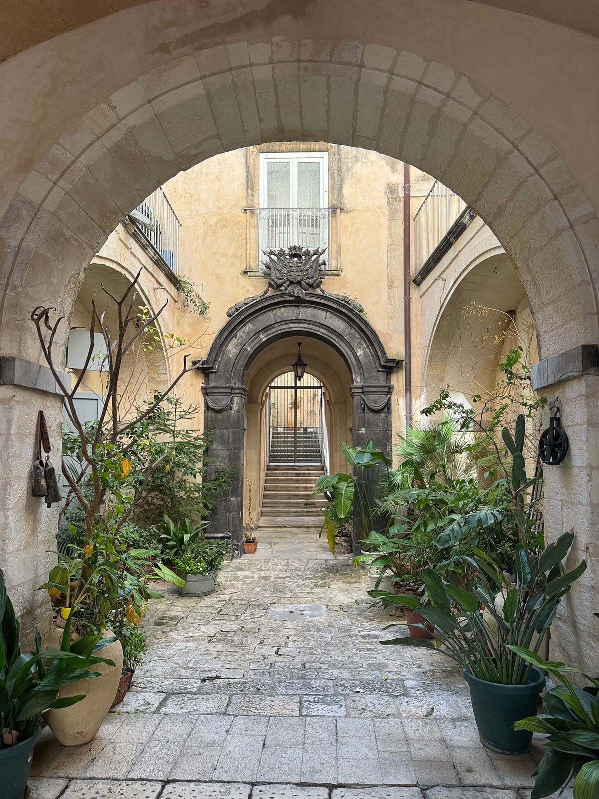 Biancomangiare photo 4