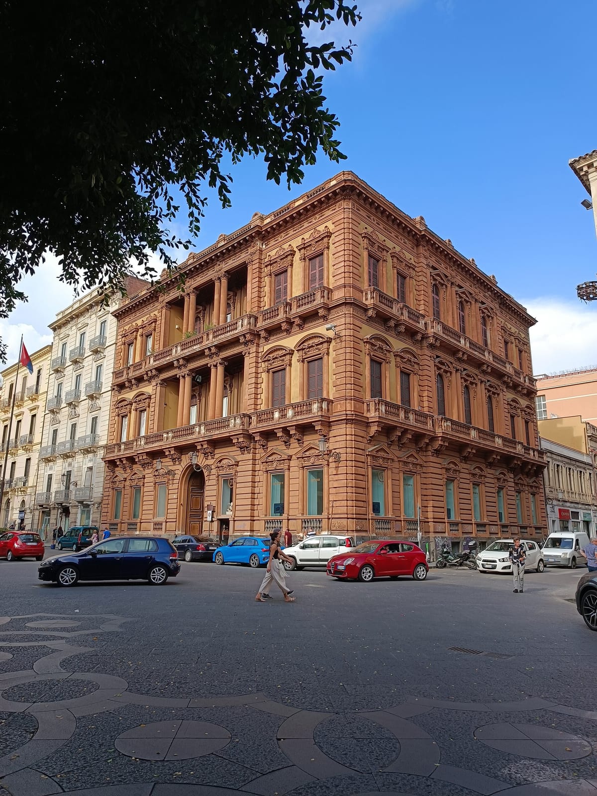 Savia photo 4