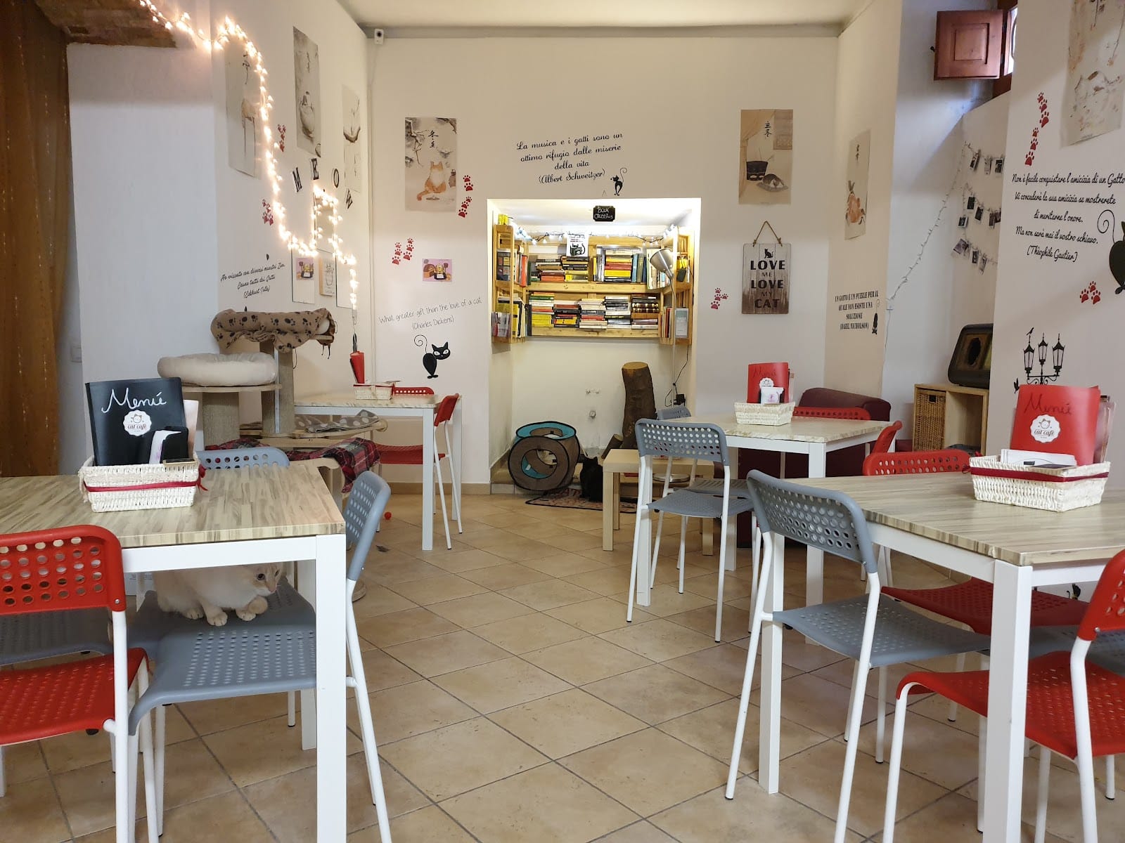 Cat Cafè di Chry