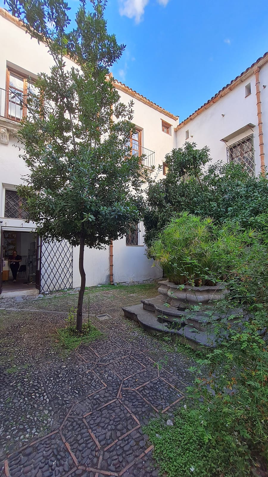Cagliostro photo 5