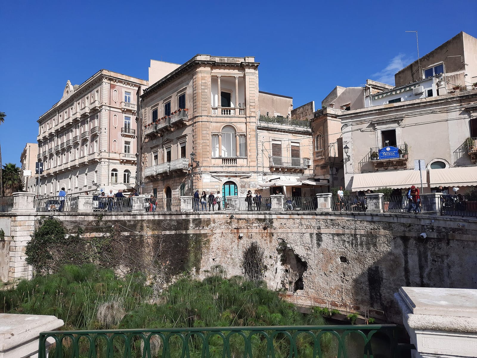 Cuccumella photo 2