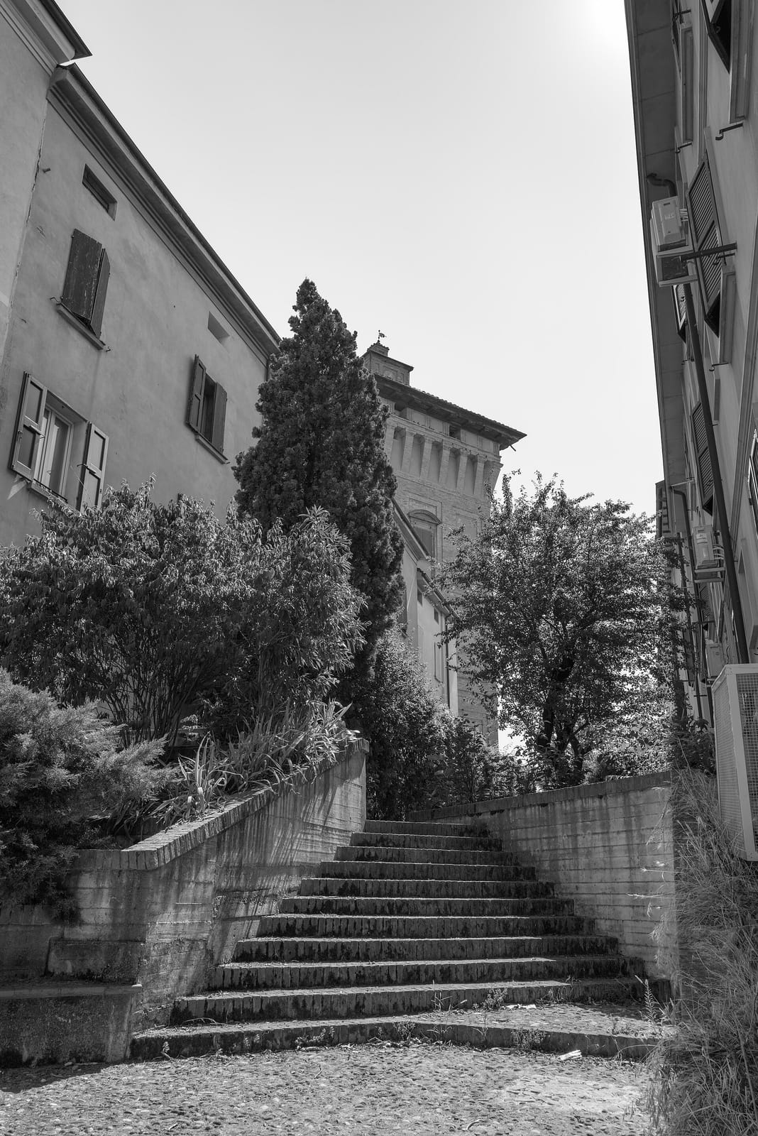 Il Piccolo