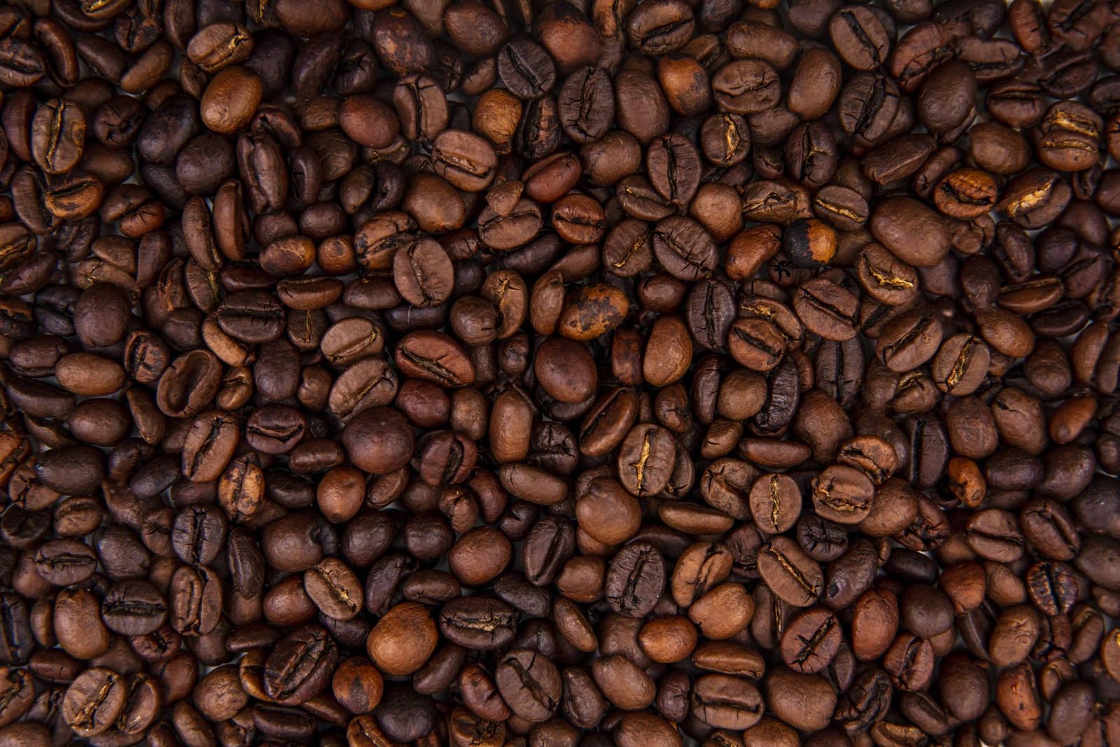 L'emporio del caffè photo 3