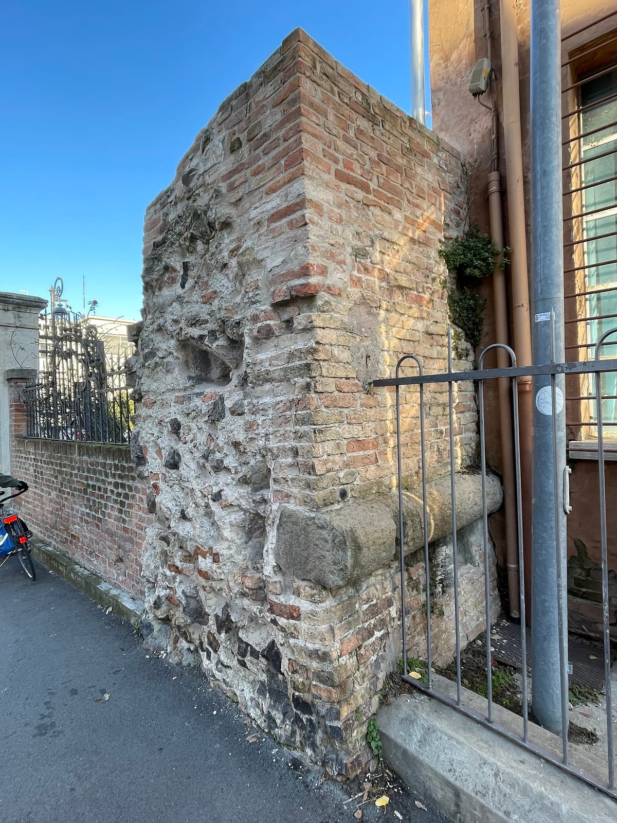 L'antico chicco di caffè