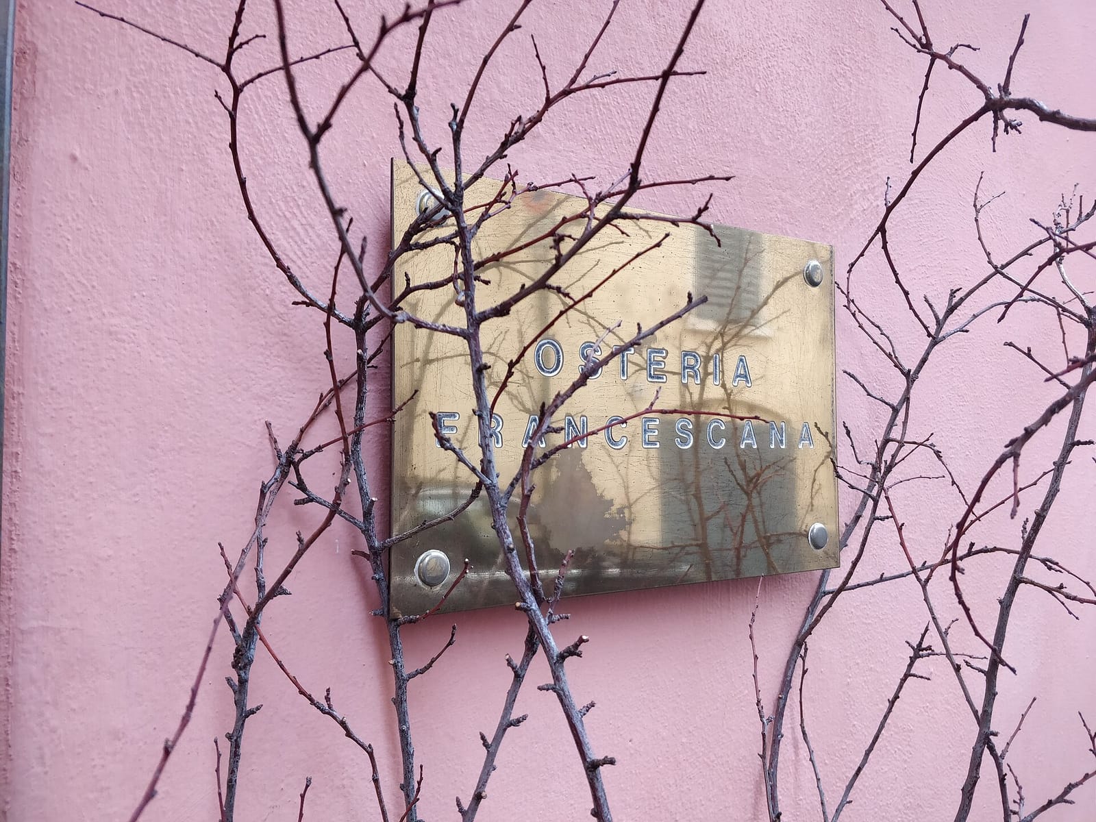 Mon Cafè photo 3
