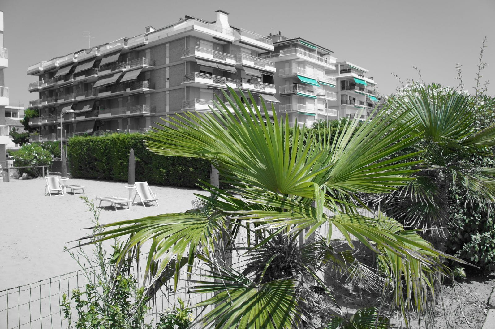 Chiosco Oasi photo 2