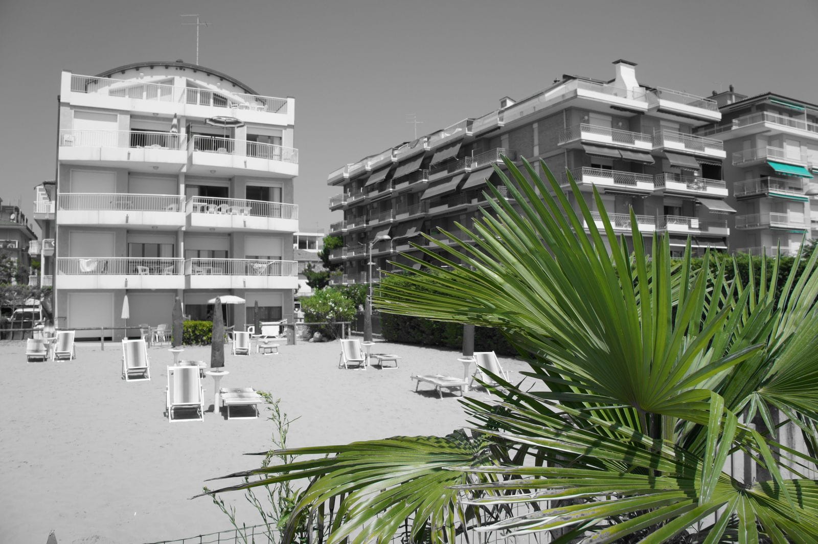 Chiosco Oasi photo 3