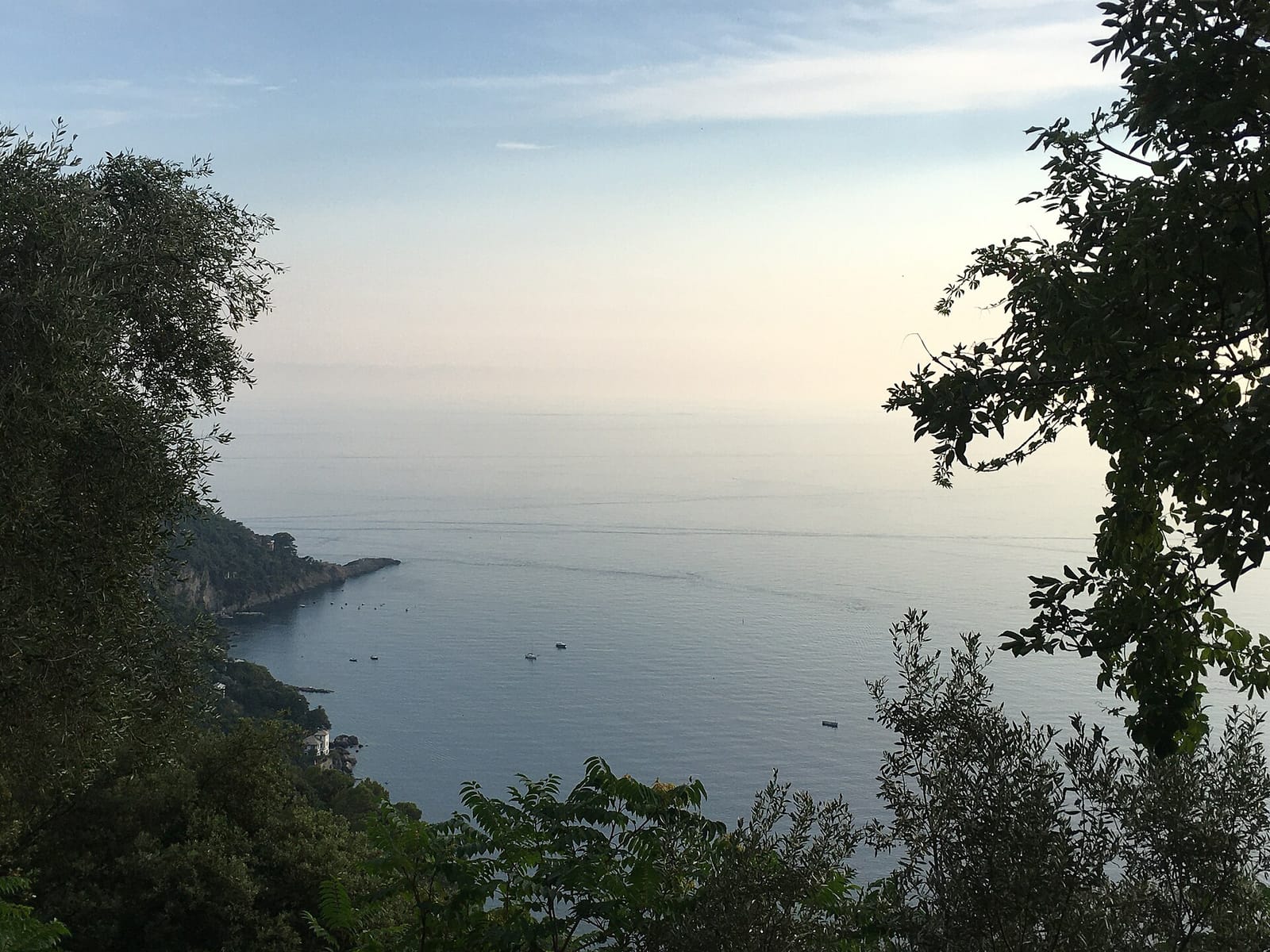 Dai Müagetti photo 2