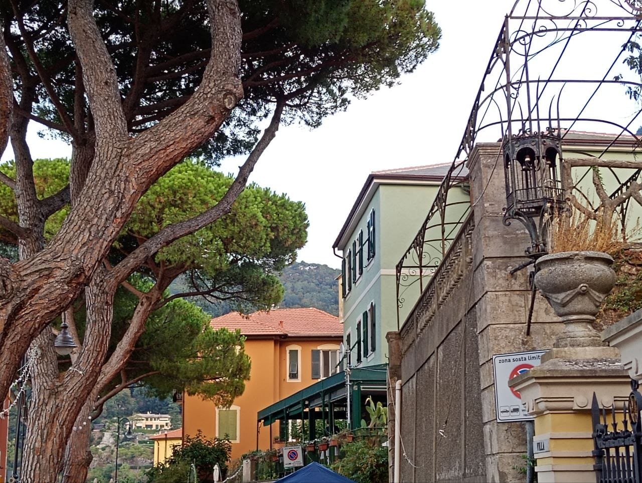 Dai Müagetti photo 4