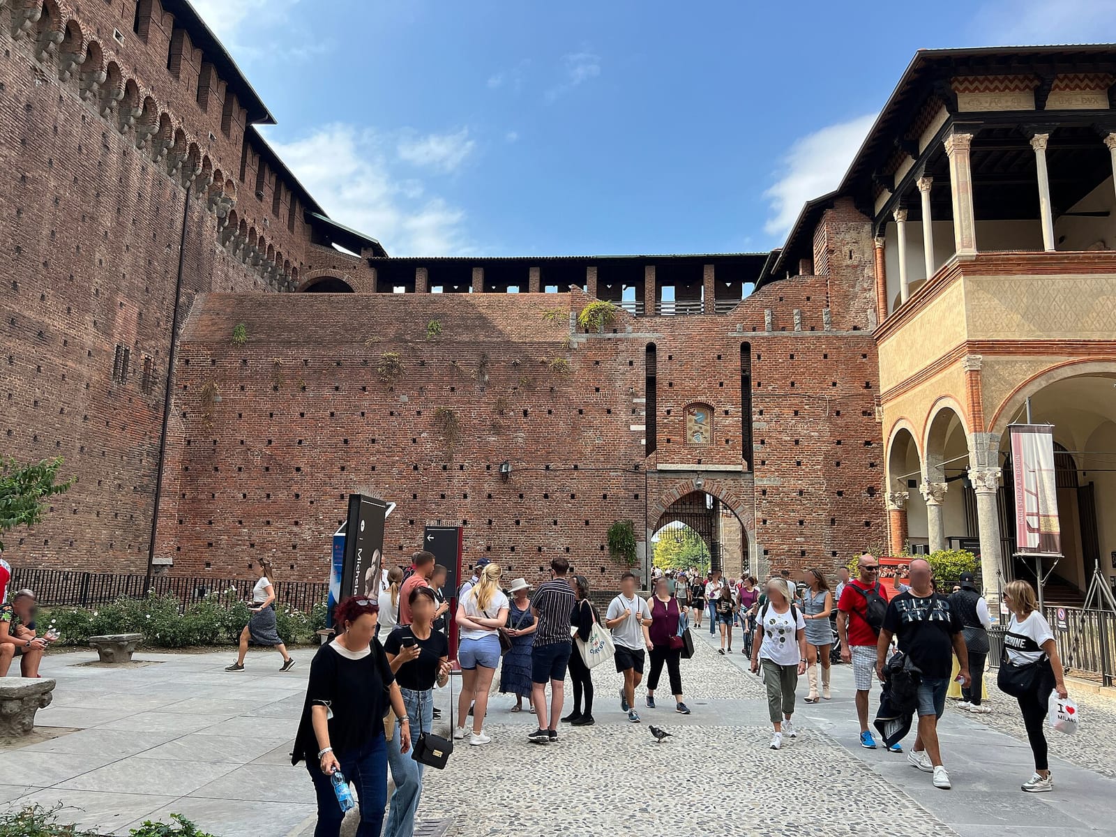 Calicantus photo 2
