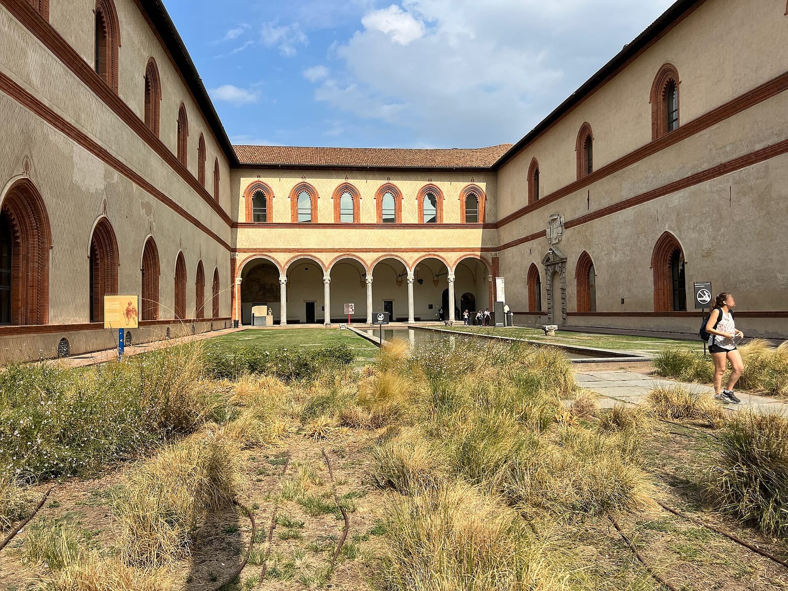 Calicantus photo 4