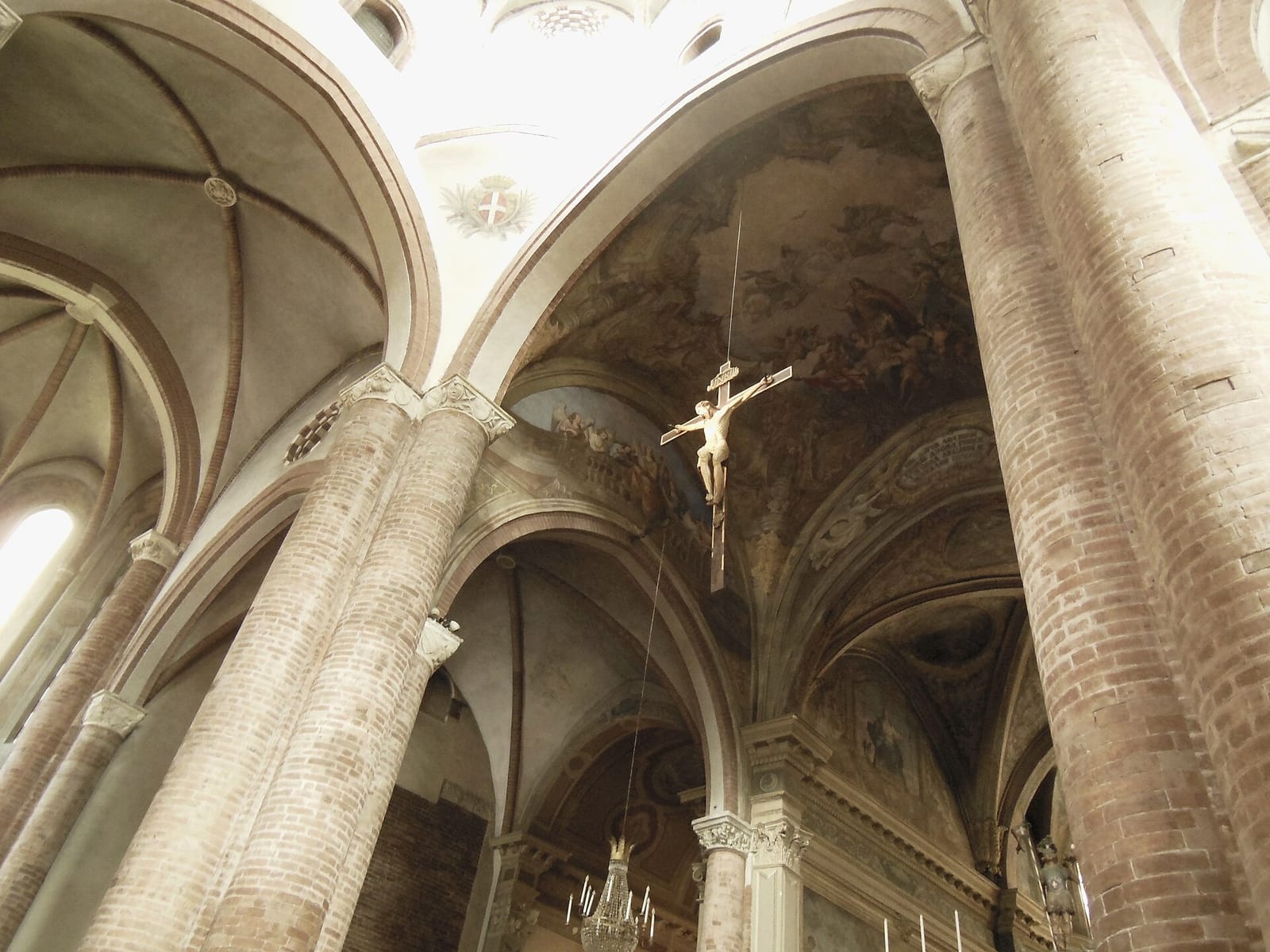 Succoso Nonlatteria photo 5