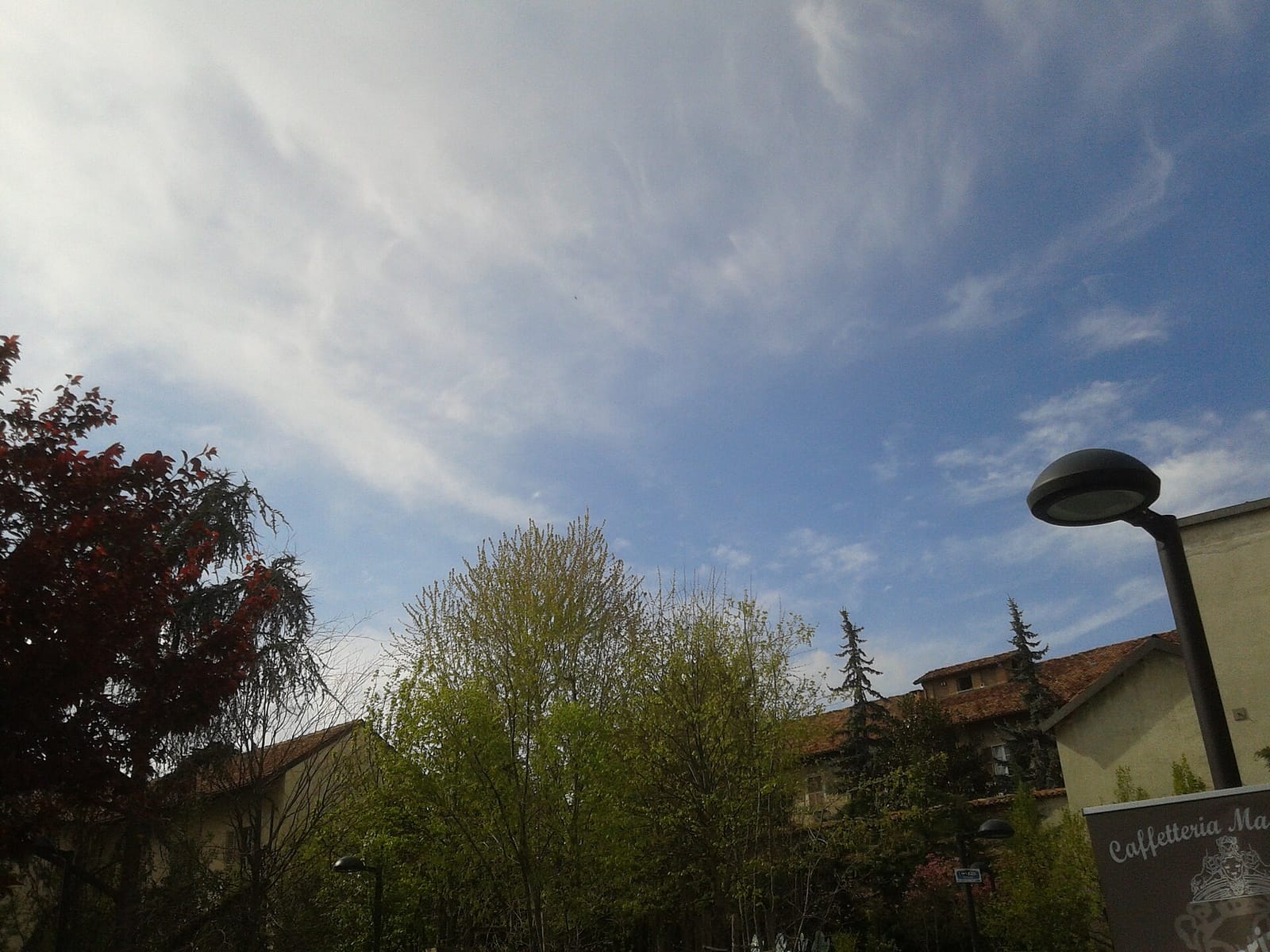 Tazze Pazze photo 6
