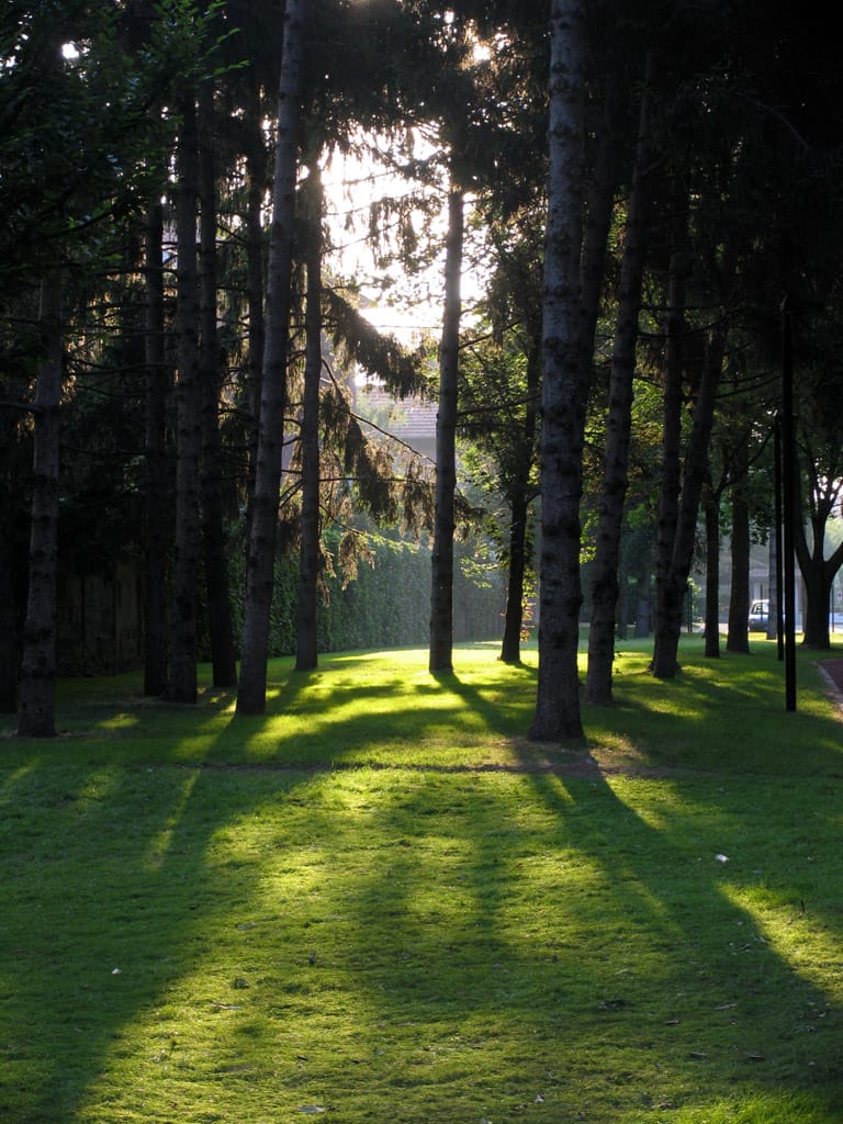Al Chiosco del Ghezzi