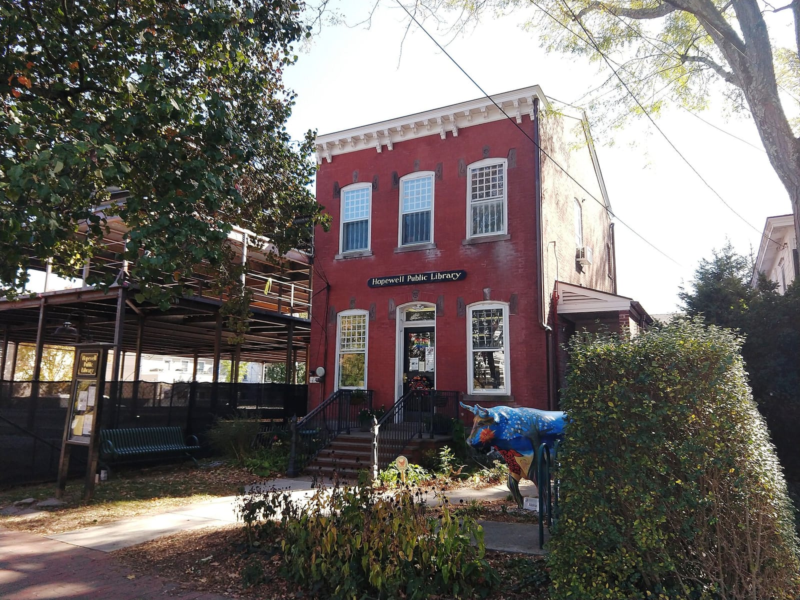 Boro Bean photo 4
