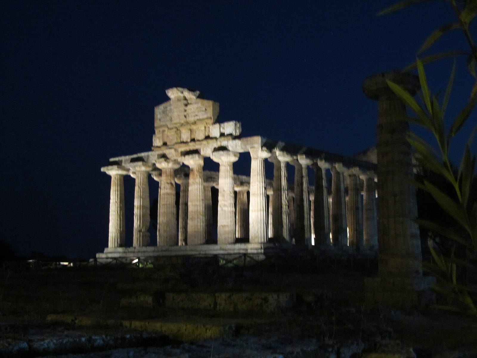 Caffè Museo