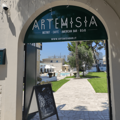 Artemisia photo 8