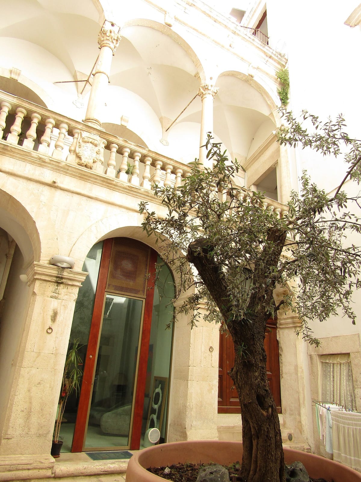 Sale in Zucca photo 3