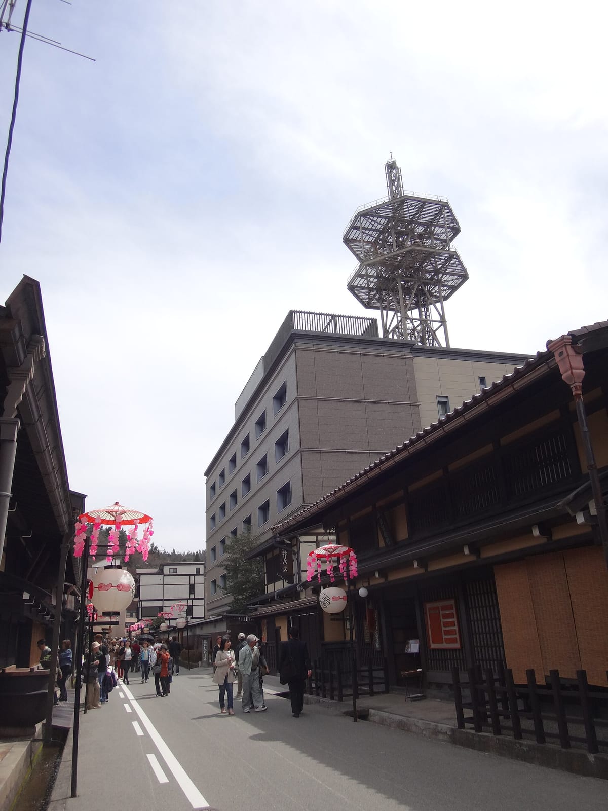 Oyogukuma photo 4